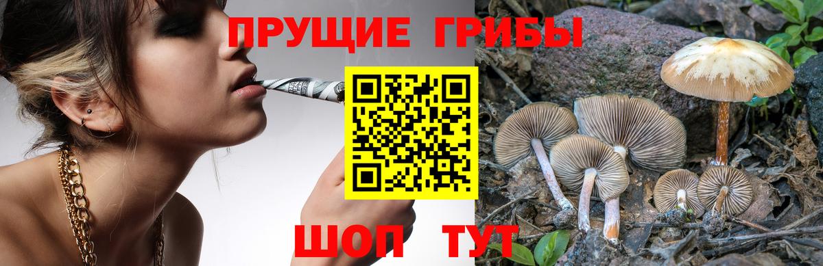 Псилоцибиновые грибы GOLDEN TEACHER Нягань